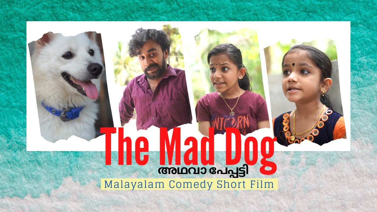 The Mad Dog അഥവാ പേപ്പട്ടി | Malayalam Comedy Short Film | Nikki | Life Living & Nature