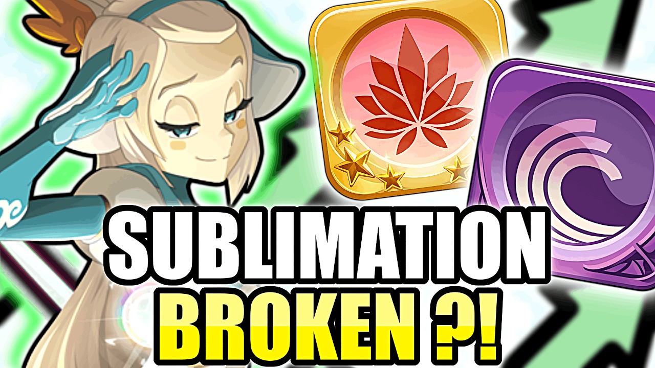 NOUVELLE MODIFICATION HUPPERMAGE ! BEAUCOUP TROP FORT ?! [TARKAN DOFUS]