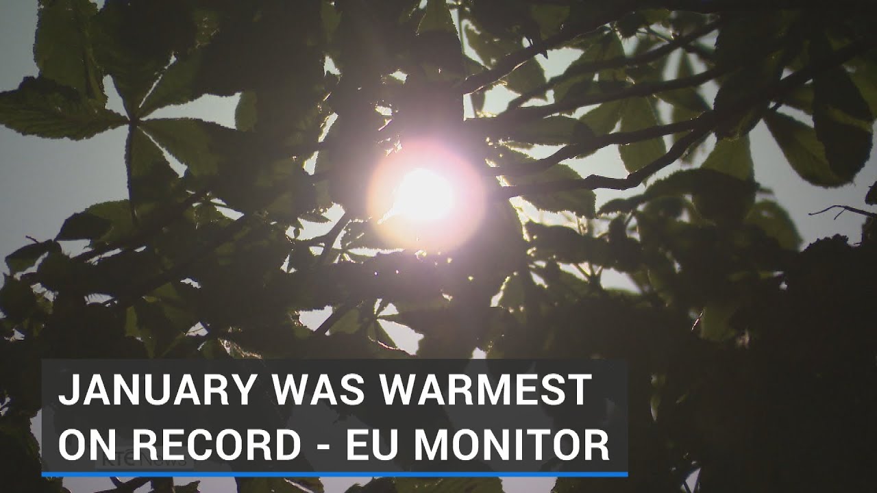 January was warmest on record - EU monitor