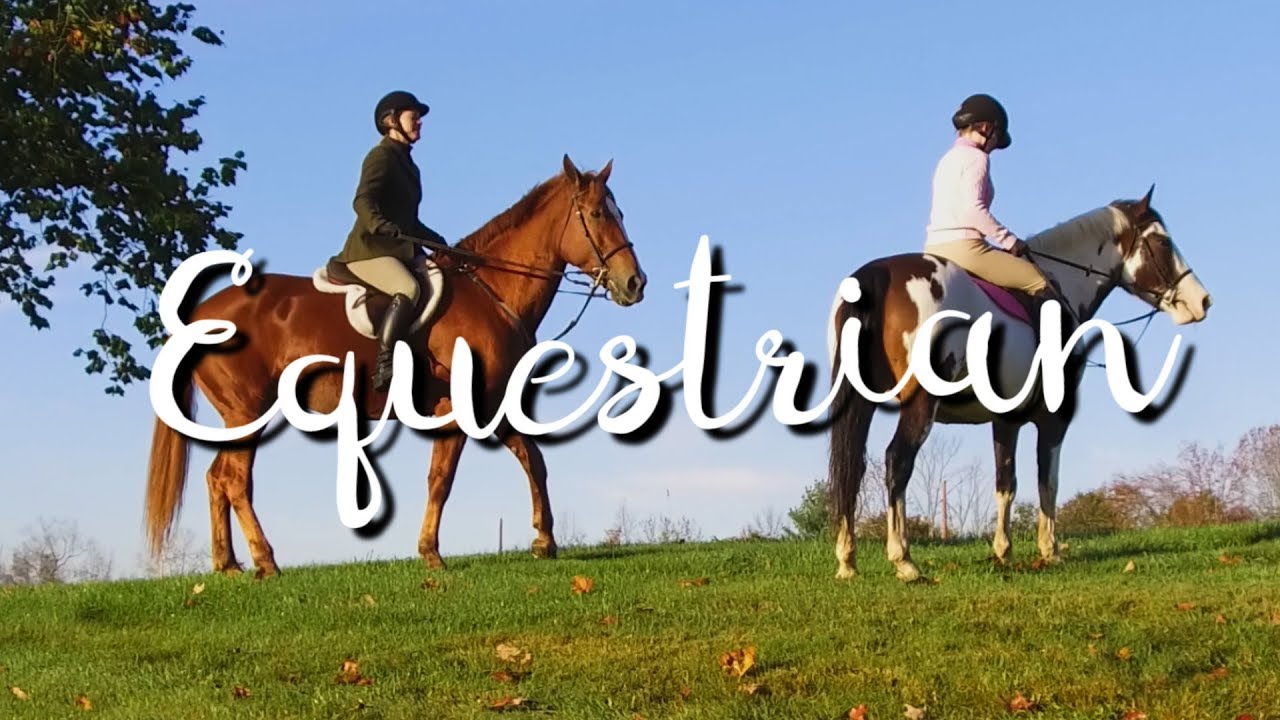 Cinematic sequence w/ HORSES! Filming equestrian riders w/ my drone and gimbal