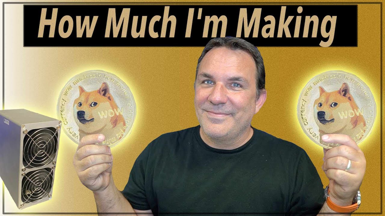 How Much I Make With the Goldshell Mini-Doge Miner After 2 Weeks
