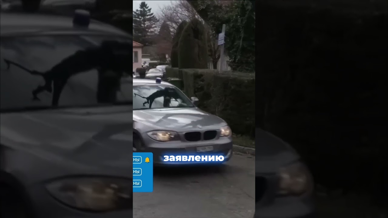Противоречия в Женеве: Аракчи отрицает соглашение #иран