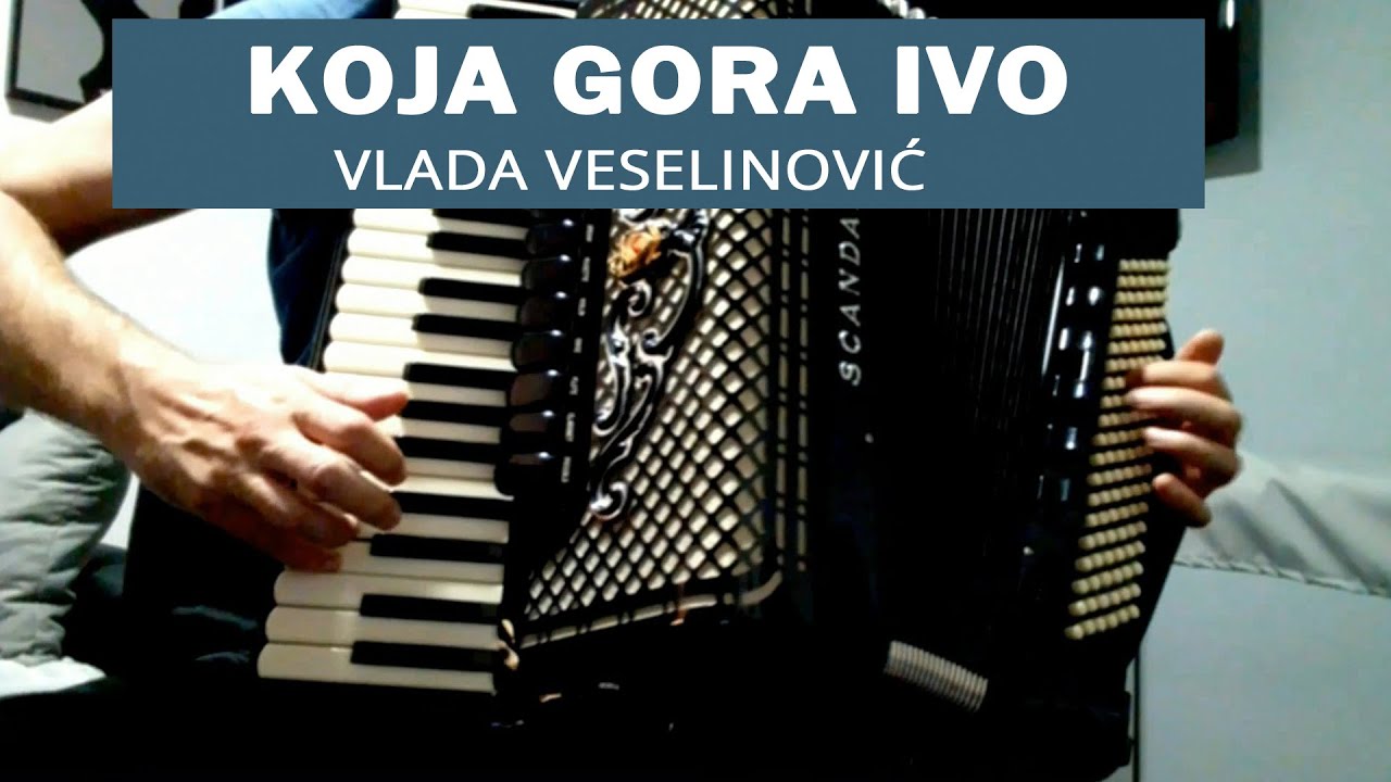 Koja gora Ivo - Vlada Veselinović - Harmonika - Instrumental