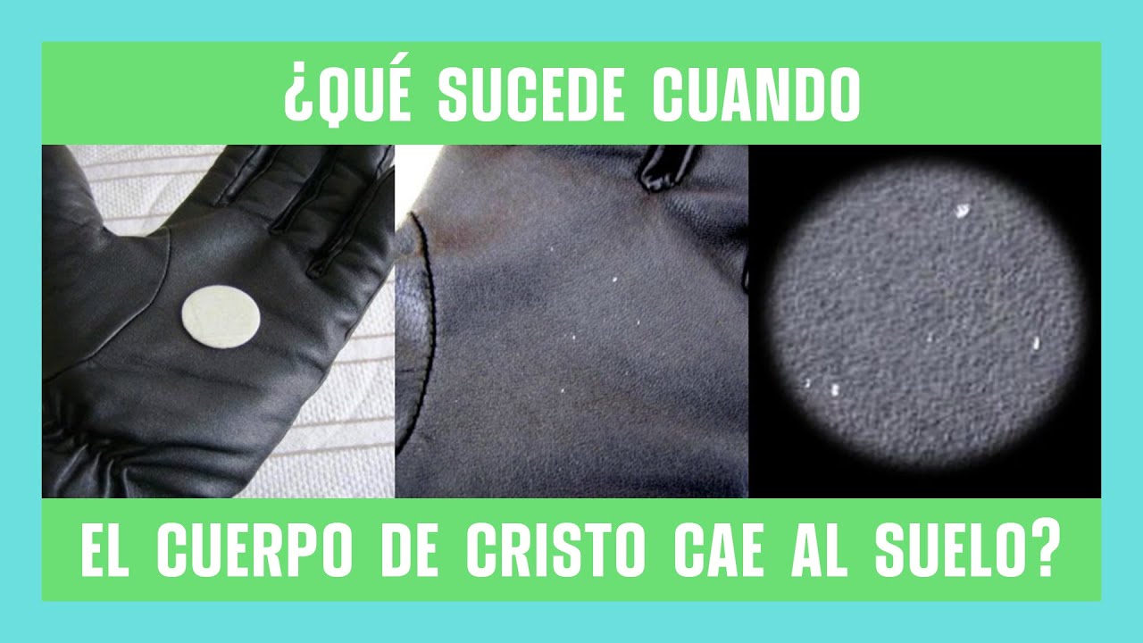 ¿QUÉ HACER CUANDO la SAGRADA COMUNIÓN CAE AL SUELO?