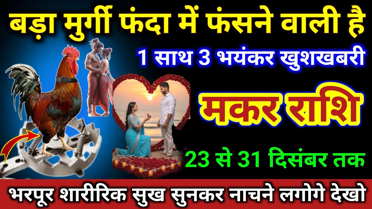 मकर राशि | बड़ा मुर्गी फंदा में फंसने वाली है, 1 साथ 3 भयंकर खुशखबरी | Makar Rashi | Capricorn Tarot