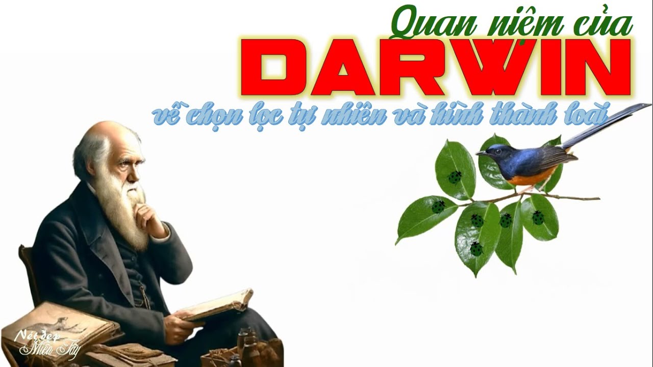 QUAN NIỆM CỦA DARWIN VỀ CHỌN LỌC TỰ NHIÊN VÀ HÌNH THÀNH LOÀI FULL | SINH HỌC THPT