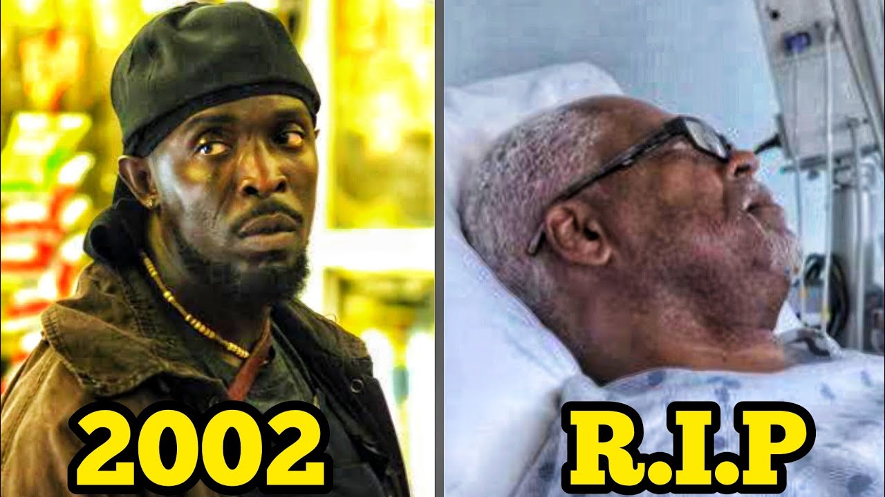The Wire (2002-2008) Cast ★ Then and Now 2025 [How they changed]