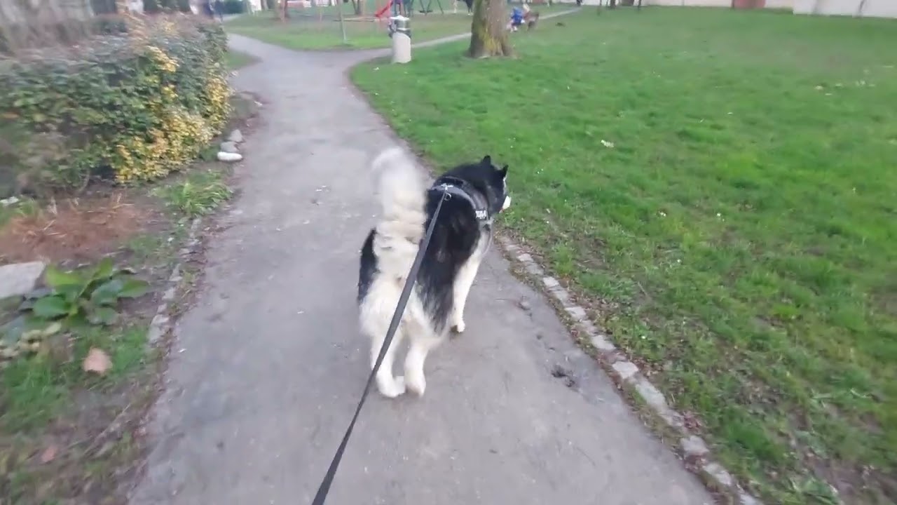 A long day at the vet | Almost 4 hours