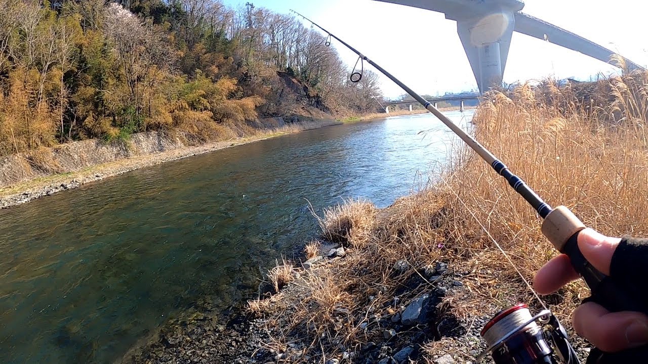 春満喫！秩父荒川で魚釣り