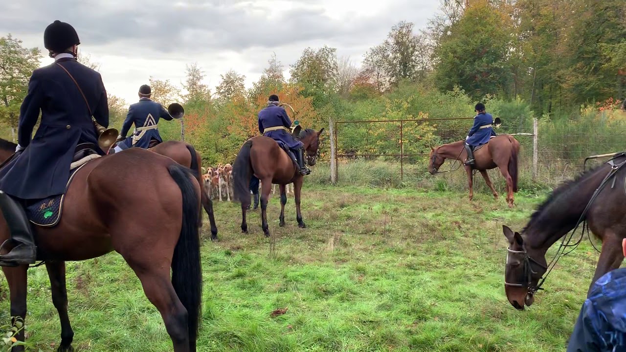 Départ pour la chasse
