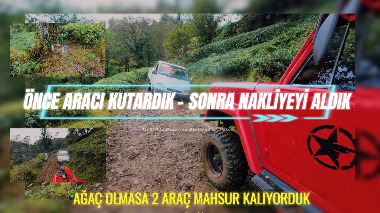 AĞAÇ OLMASA MAHSUR KALIYORDUK !!!