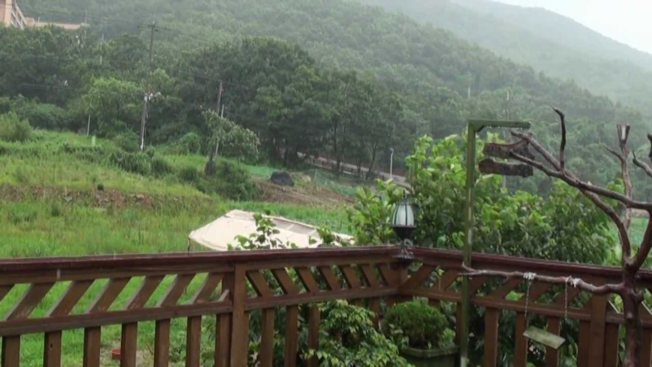 송창식 - 창밖에는 비오고요