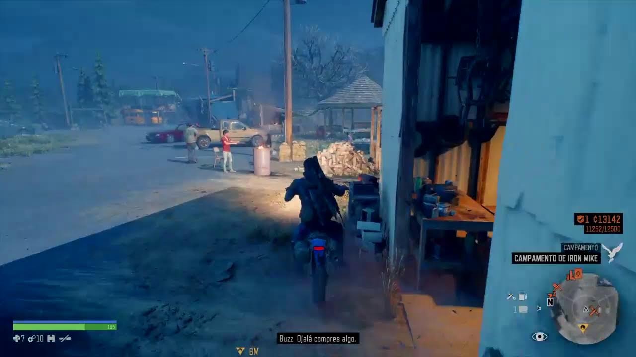 Days Gone 5