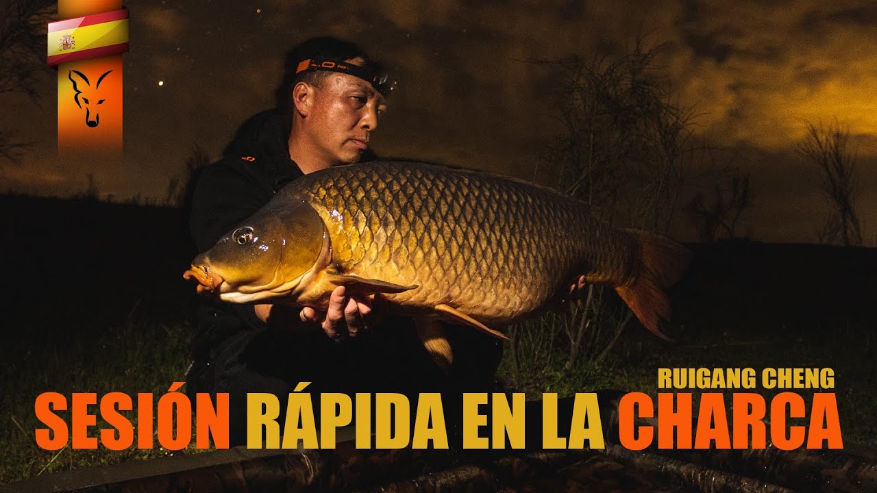 SESIÓN RÁPIDA EN LA CHARCA  ***CARPFISHING TV***