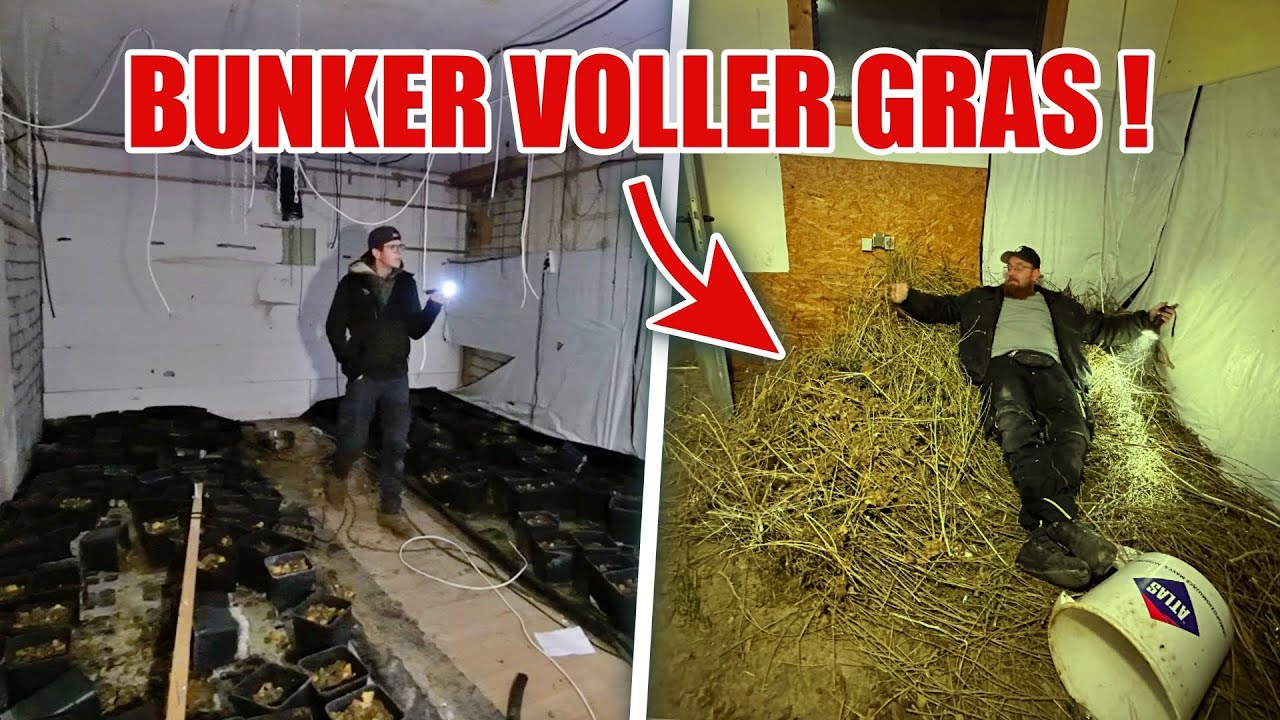 WEED Plantage im BUNKER 🔥 😱  Hier wurden MILLIONEN GEMACHT 💰 😳 | ItsMarvin