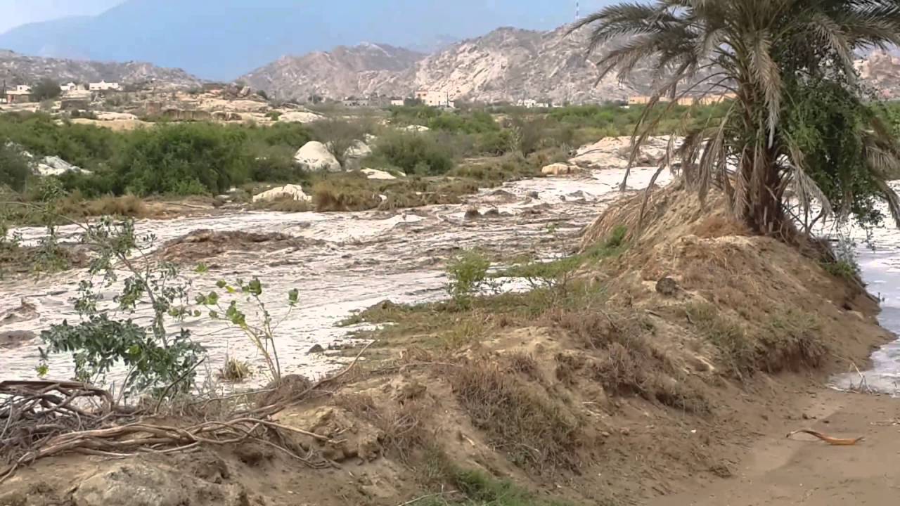 سيول وادي الخير