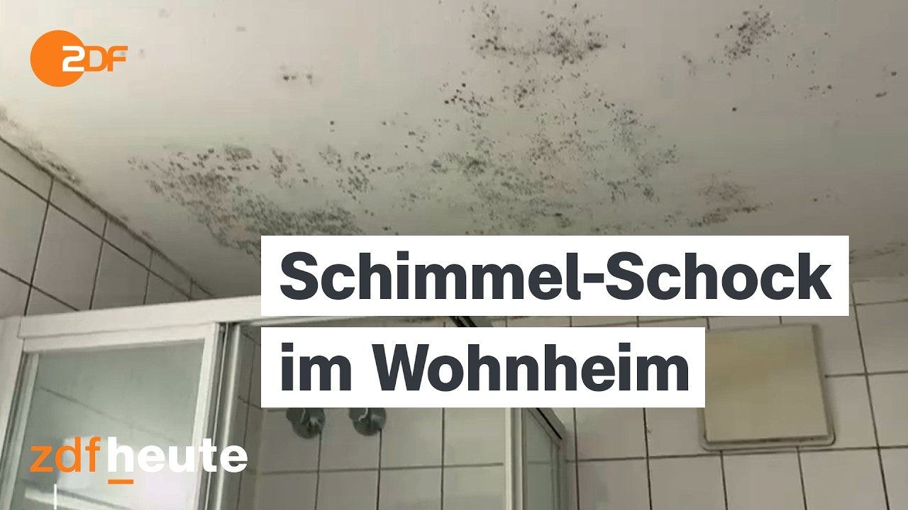 Reportage: Schimmel und Dreck - Wohnheimfrust in München