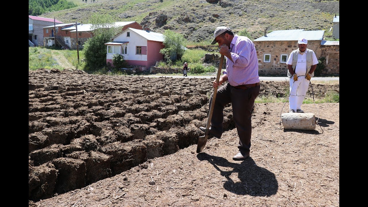2 ayda yaptıkları tezekleri 12 ay boyunca yakıyorlar