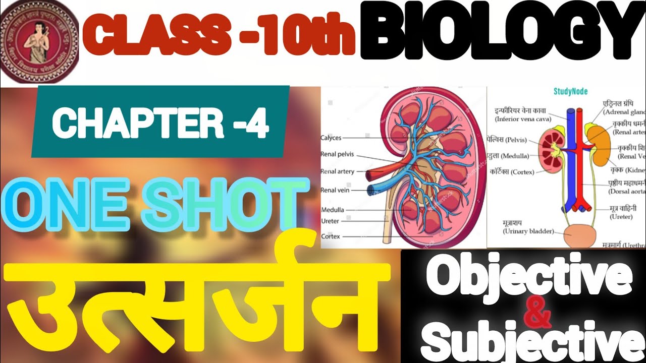 biology chapter 3 objective question class 10th pyq biology class 10 chapter 3 Bihar board utsarjan 