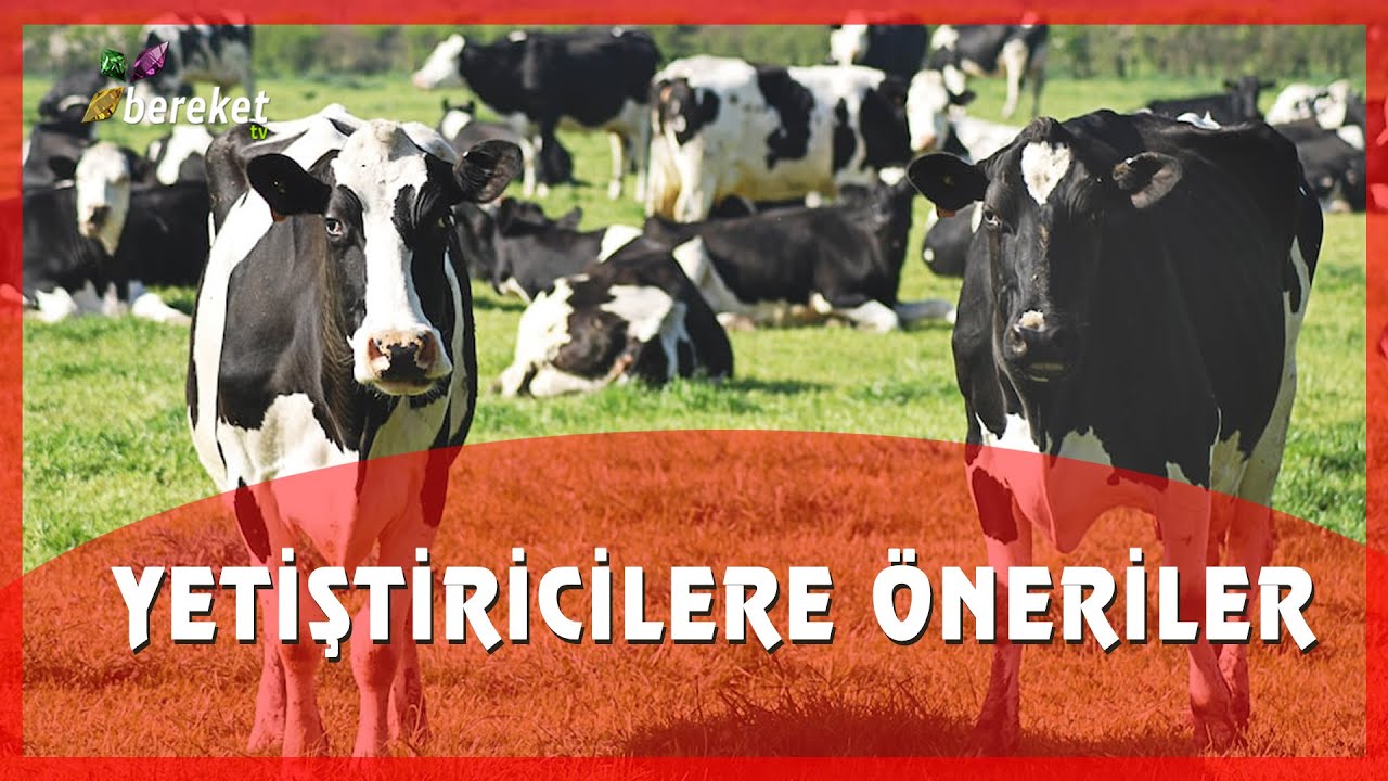 Paraziter Tedavi Kârlı mıdır ?