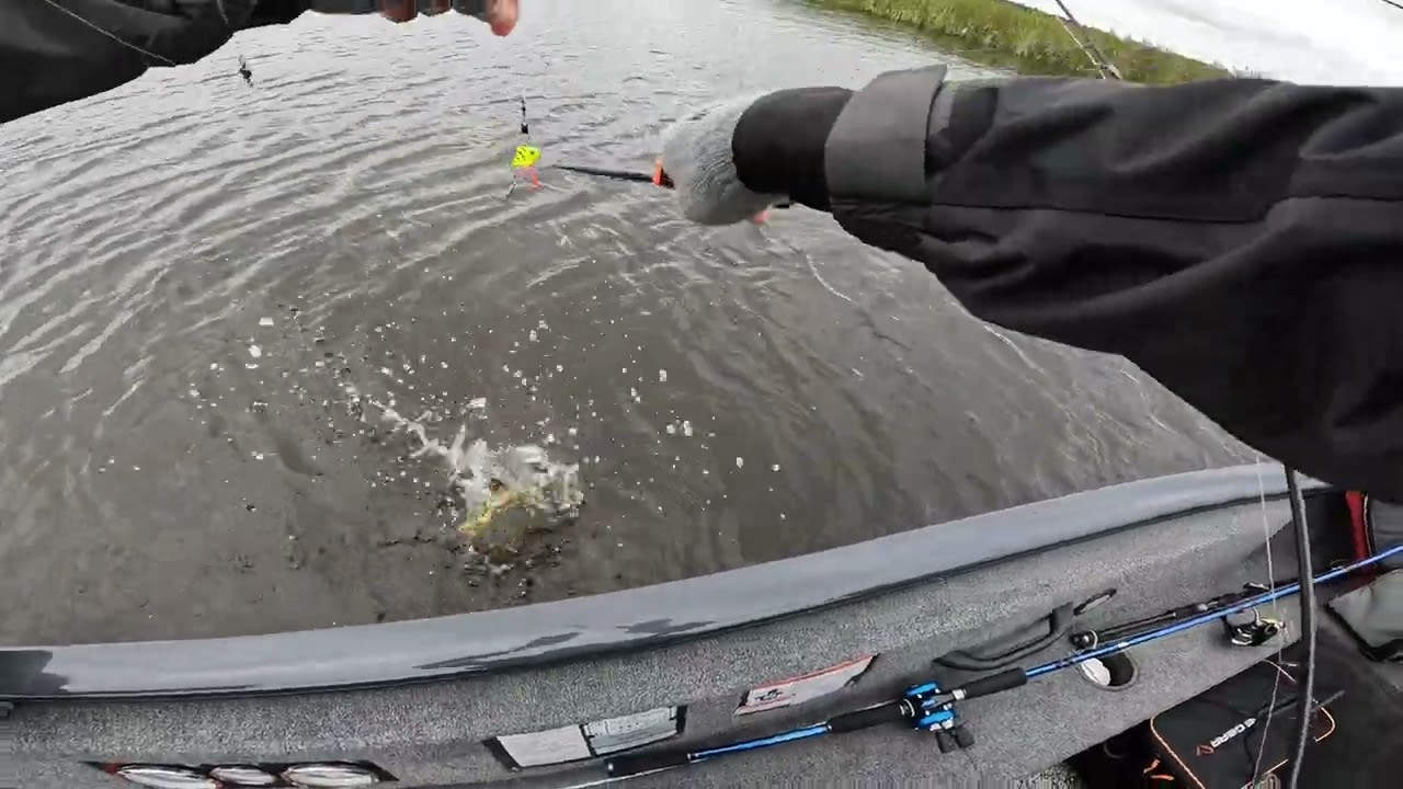 Fiske Mälaren Västerås