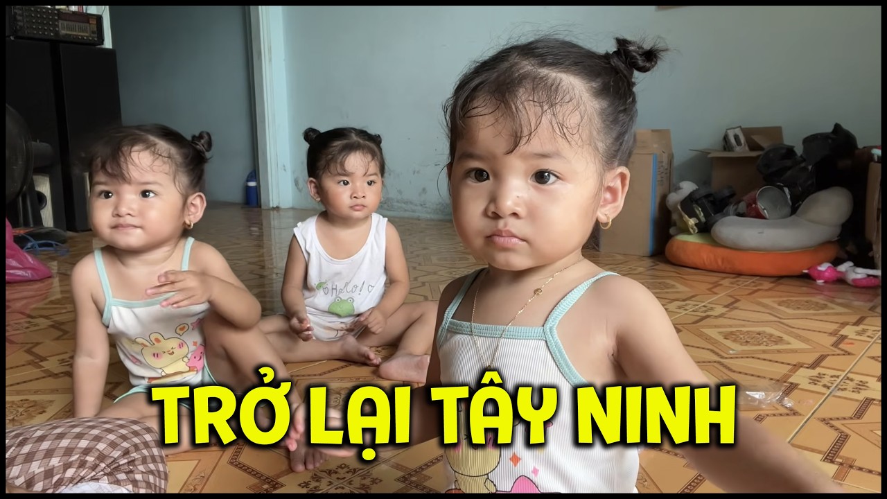 Gạo Sữa Kem đã khỏe trở lại, cả gia đình trở lại Tây Ninh làm việc | TAM CÔNG CHÚA