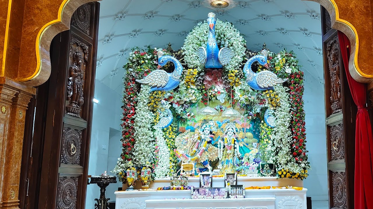 Vrindavan Dham live darshan । वृन्दावन लाइव दर्शन 🙏। राधे राधे 🌼#nehabrijwashiofficail