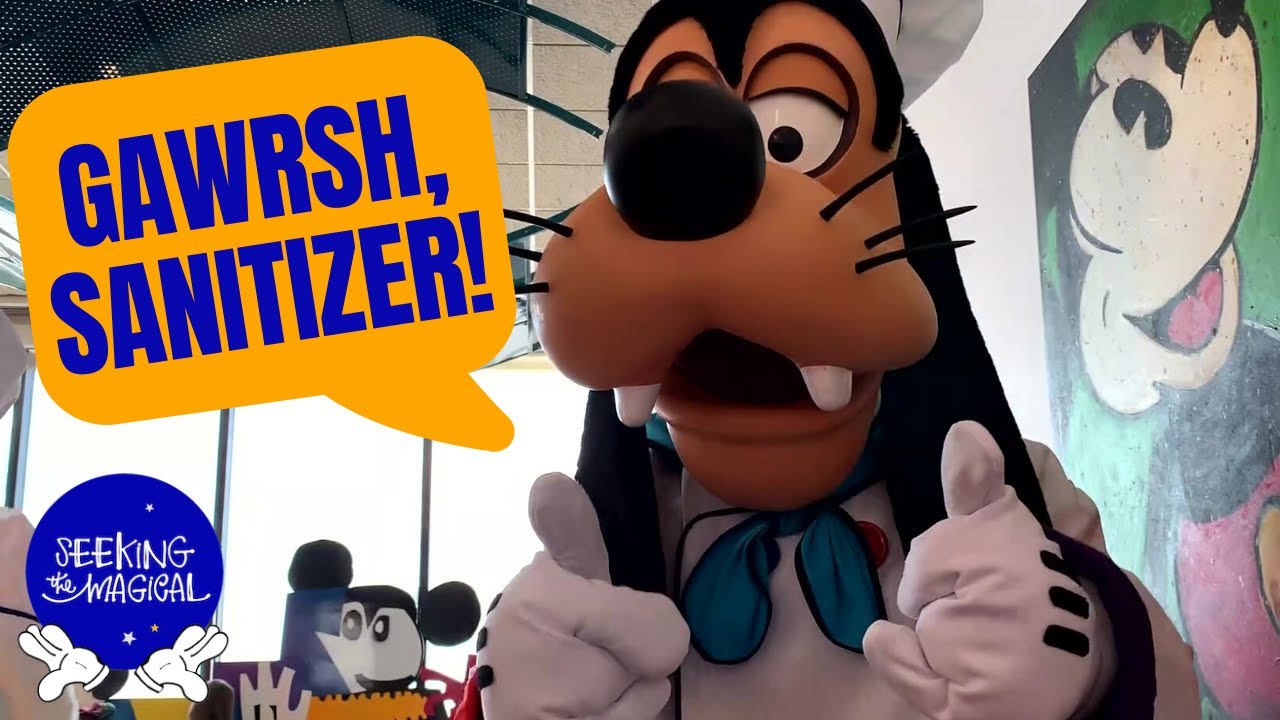 Good, "Clean" Fun Meeting Goofy in Disney World: Hot Dog Dance and Will You Sign My Hand Sanitizer?