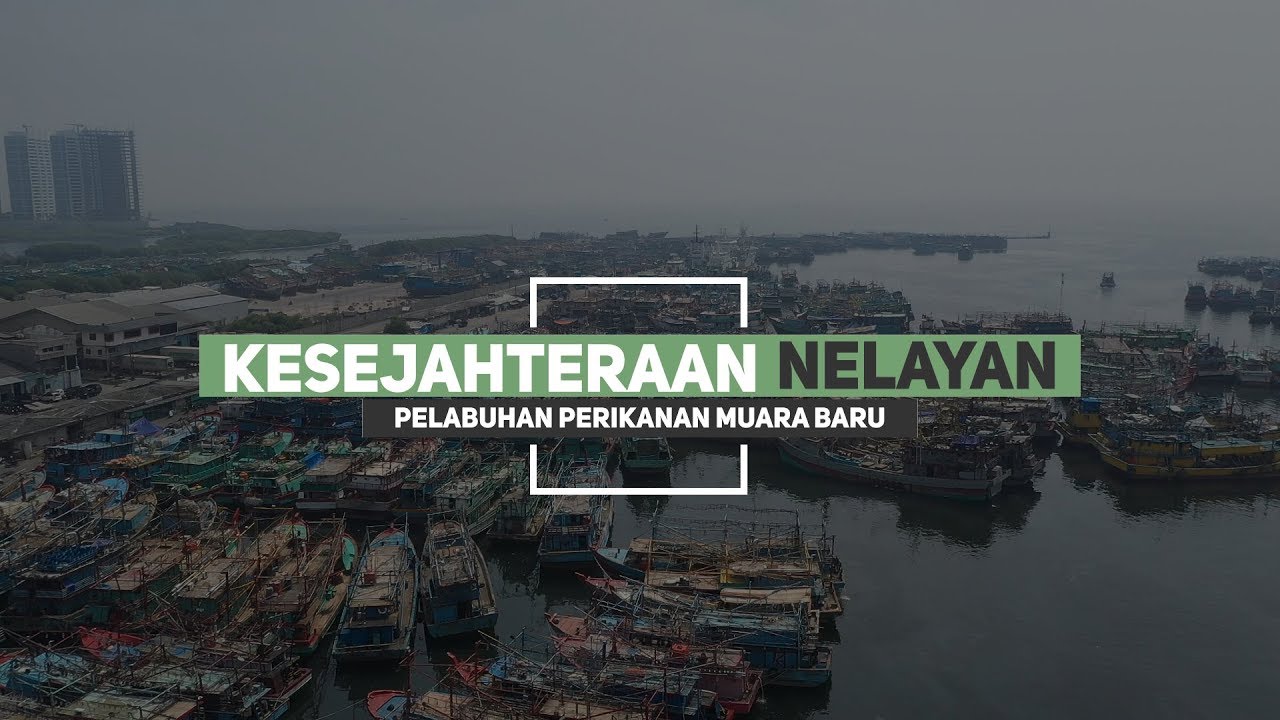 [CERITA PESISIR] Kesejahteraan Nelayan Muara Baru
