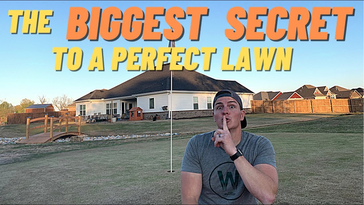 NOBODY is telling you THIS about having a PERFECT LAWN