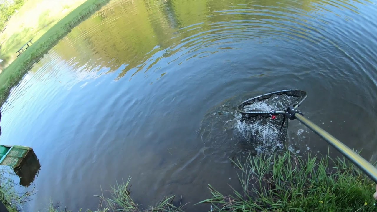 Lundum lystfiskers&oslash;. Danmark Vs. Germany