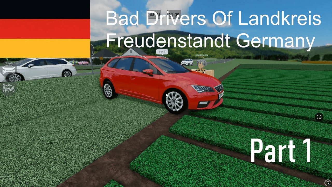 Bad Drivers Of Landkreis Freudenstadt Germany #1