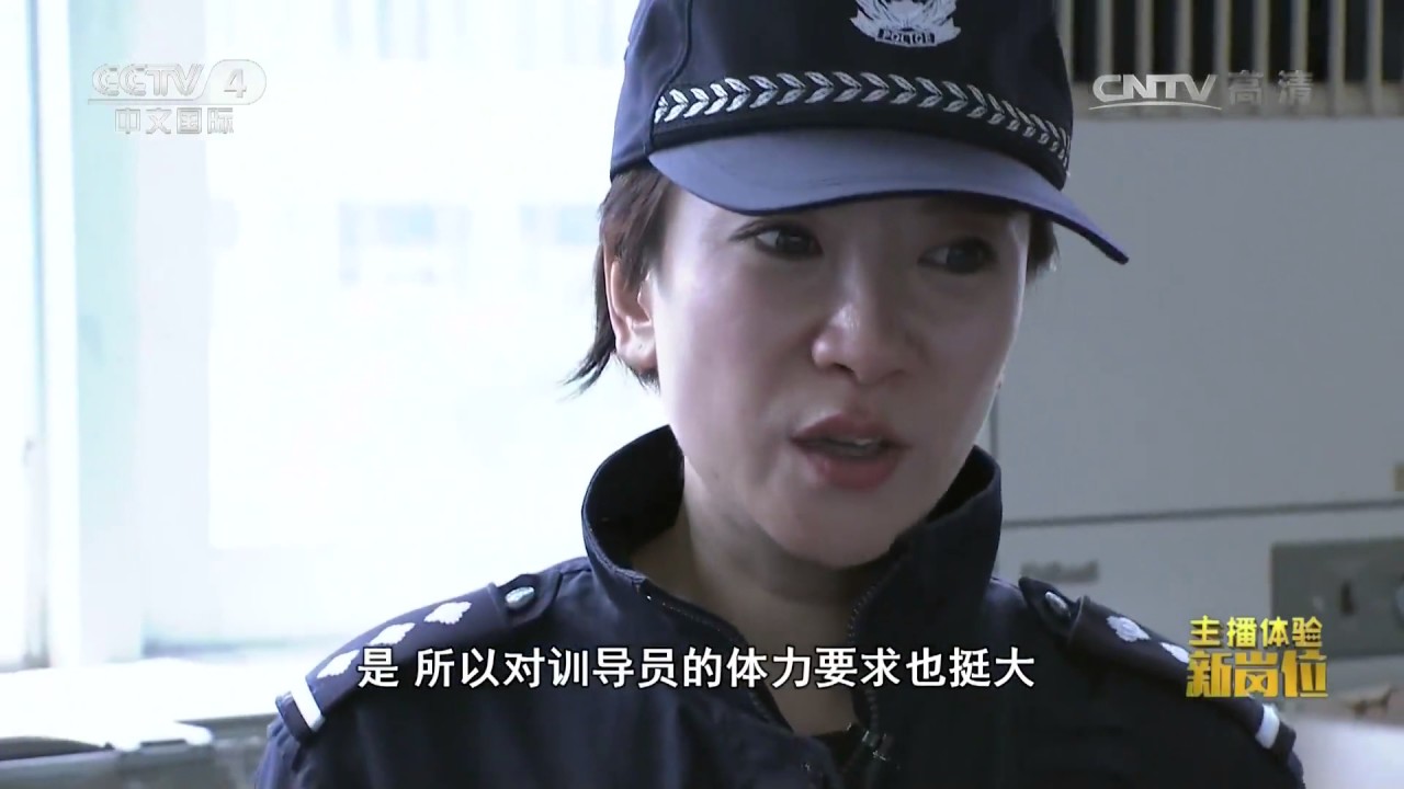 《主播体验新岗位》 20170502 主播：王端端 岗位：缉毒犬训导员 | CCTV-4