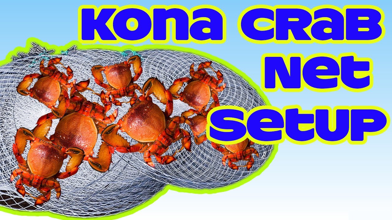 Установка сетей для ловли крабов Kona | Крабы-гаечные ключи | Рыбалка на Гавайях | Рыбалка на Гав...