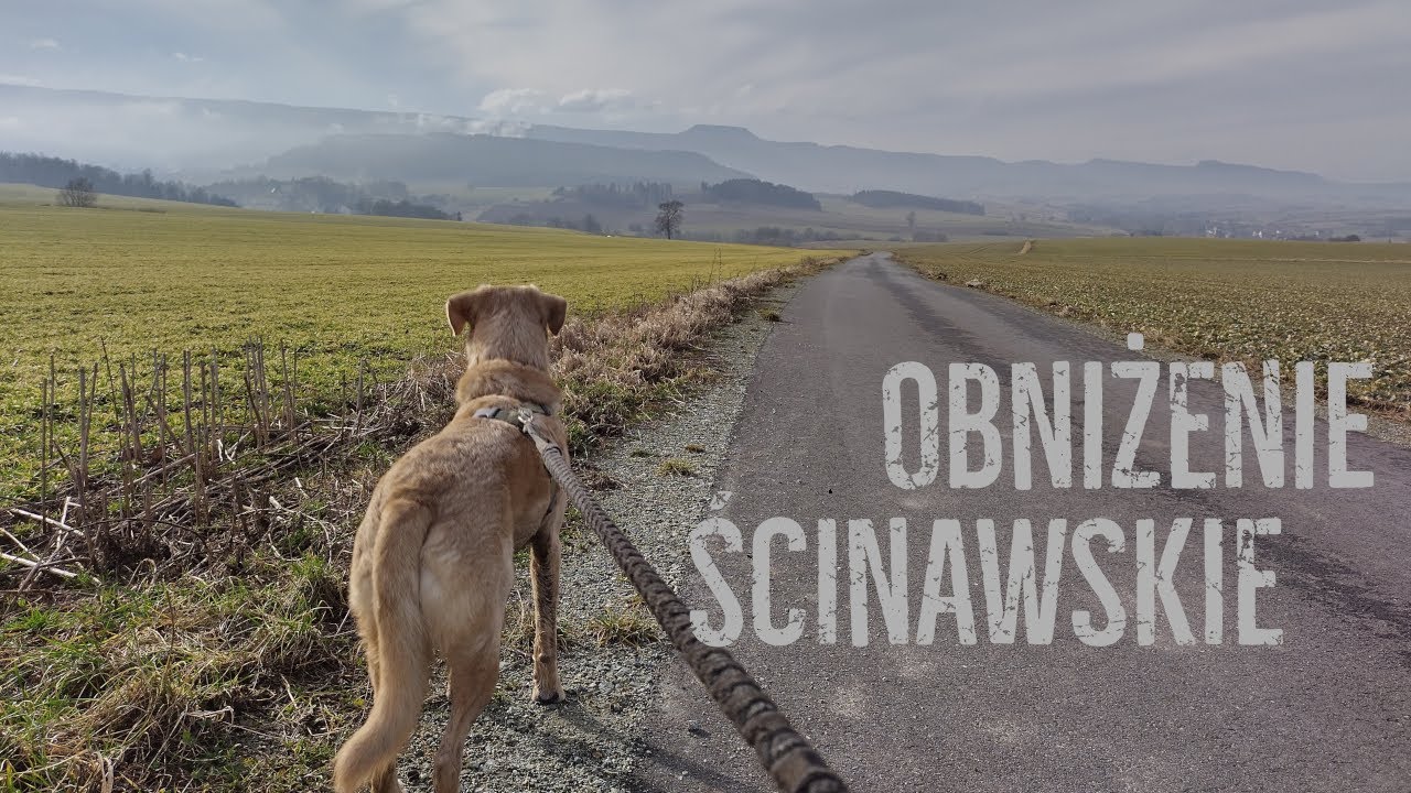 Obniżenie Ścinawki i Wzgórza Ścinawskie