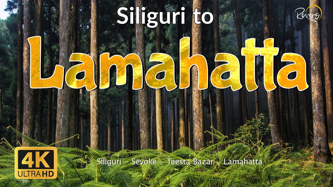 Siliguri to Lamahatta | Siliguri, Sevoke, Teesta Bazar, Lamahatta | Lamahatta Eco Park | 4K Drive