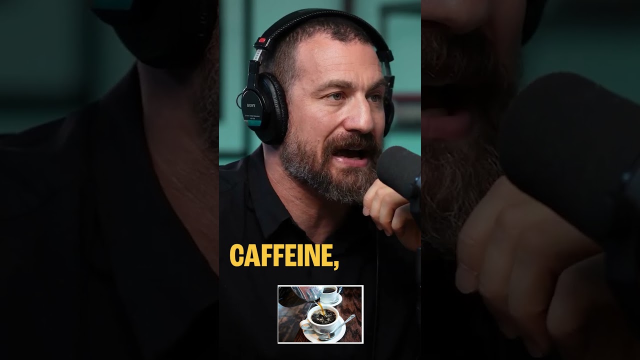 Why Neural Plasticity Beats Stimulants - with Andrew Huberman | The Proof Podcast EP 205