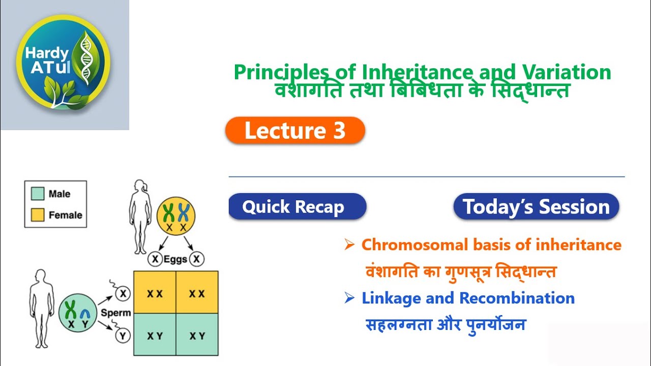 NCERT|BOARD|CHAPTER3| Class12+ NEET|Linkage crossing over| sex determination |BIOLOGY|BPSC BOTANY|