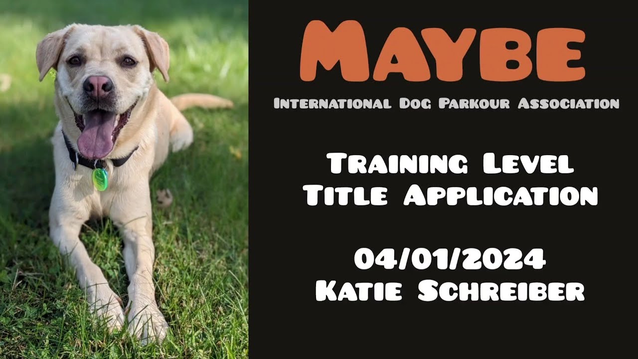 Dog Parkour- Training Level Title Application