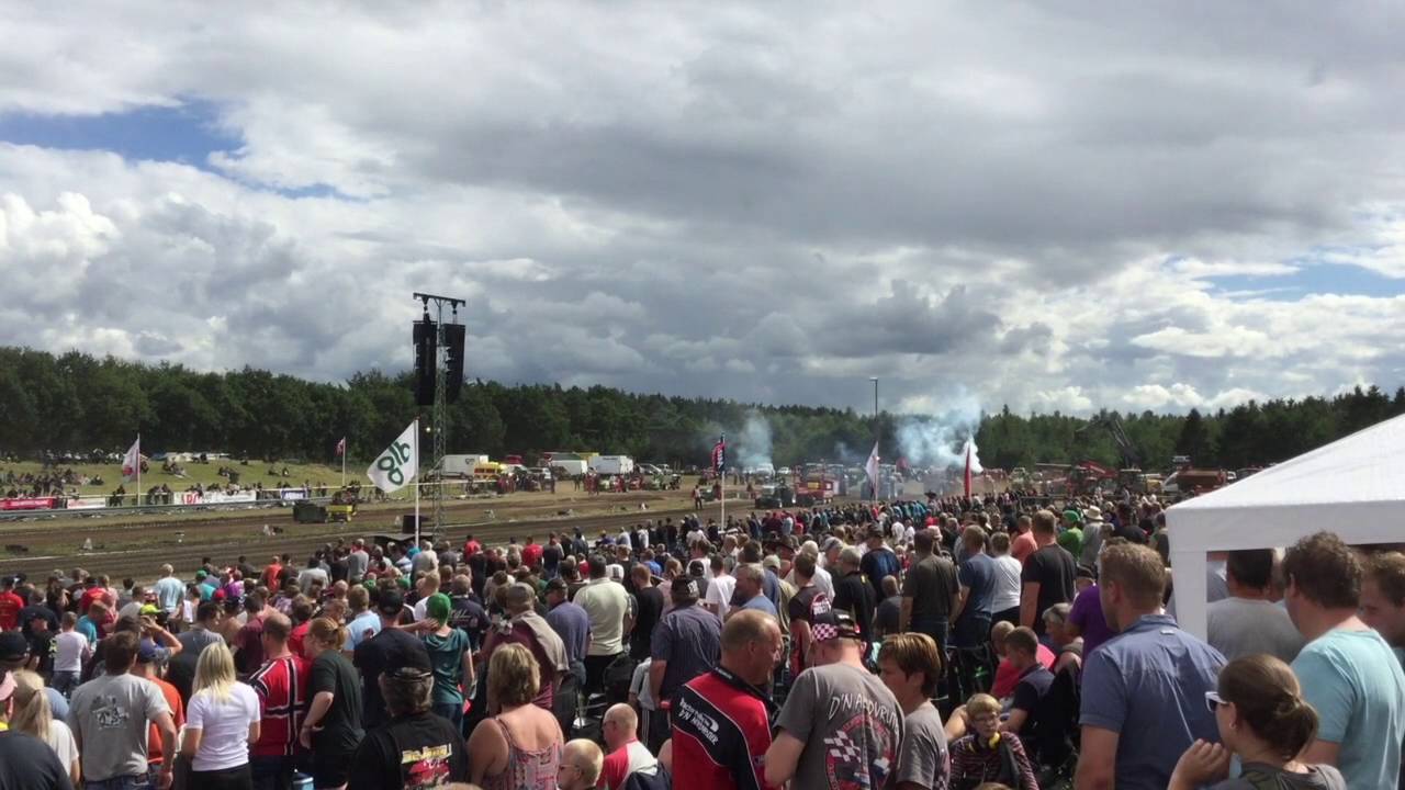 Dieselross Brande 2016