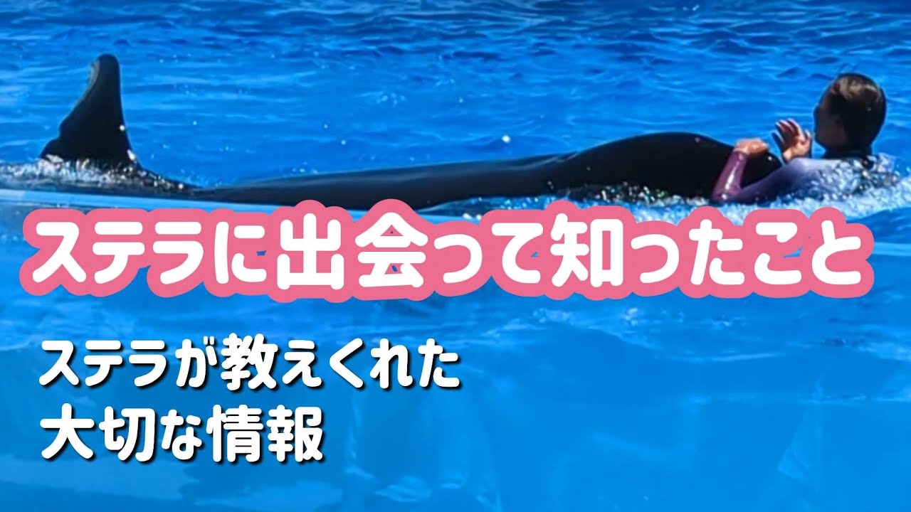 日本で最後の野生のシャチからのメッセージ、神戸須磨シーワールド