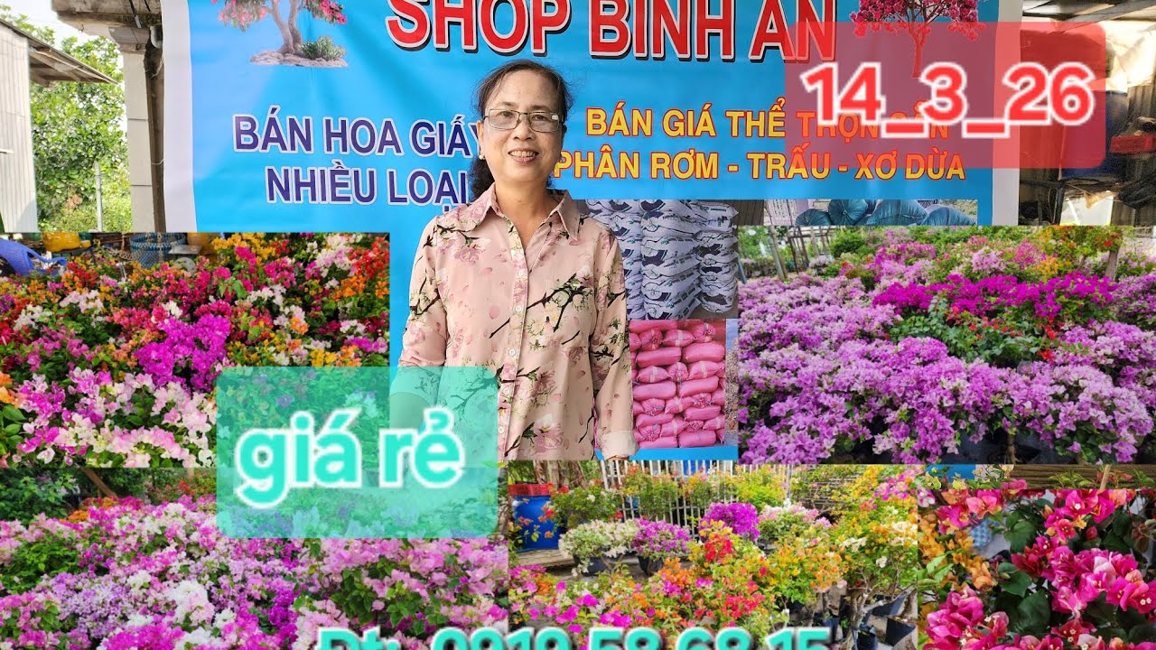Ngày 14_3_2026 Nhà vườn Bình An giao lưu hoa giấy nhiều loại 