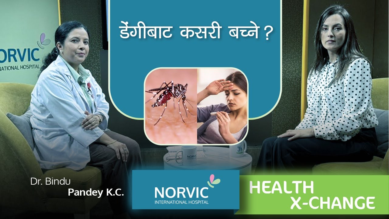Ep:11 डेंगीबाट कसरी बच्ने ?| Dengue | Dr. Bindu Pandey K.C. | Norvic | Norvic Health X-Change