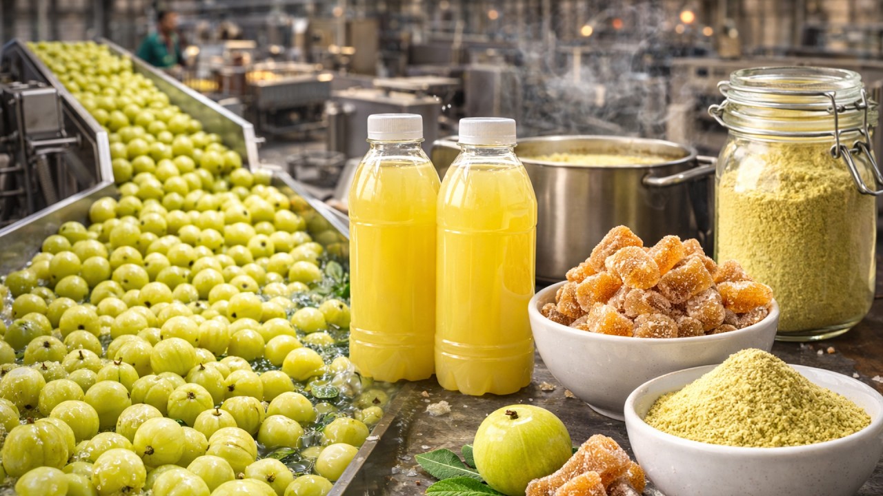 Inside a Modern Amla Factory – From Raw Amla Fruits to Finished Products | Full Process
