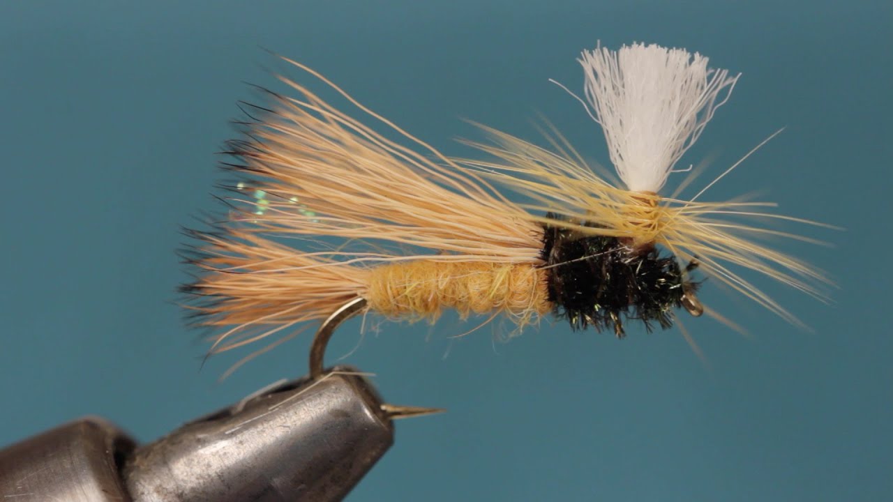 Bugmeister