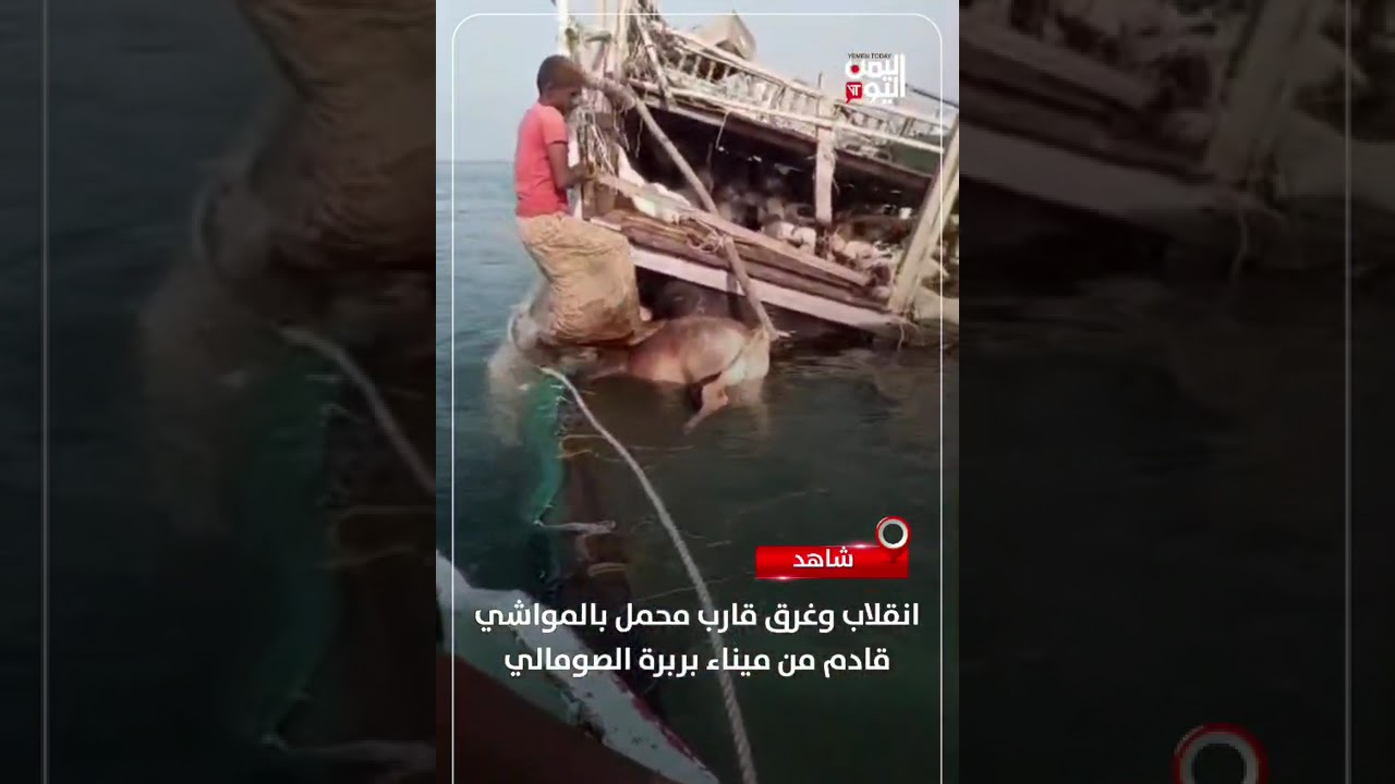 انقلاب وغرق قارب محمل بالمواشي قادم من ميناء بربرة الصومالي