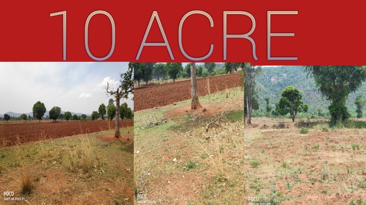 10 Acre Agriculture Land Sale//subramanya m r // subscribe me //