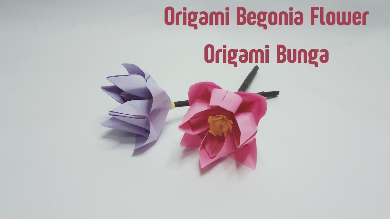 DIY BUNGA KERTAS | Membuat Origami Bunga  Begonia | Origami Flower