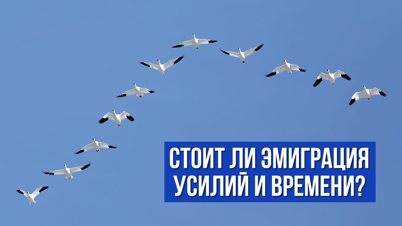 Кому не стоит иммигрировать в Новую Зеландию?