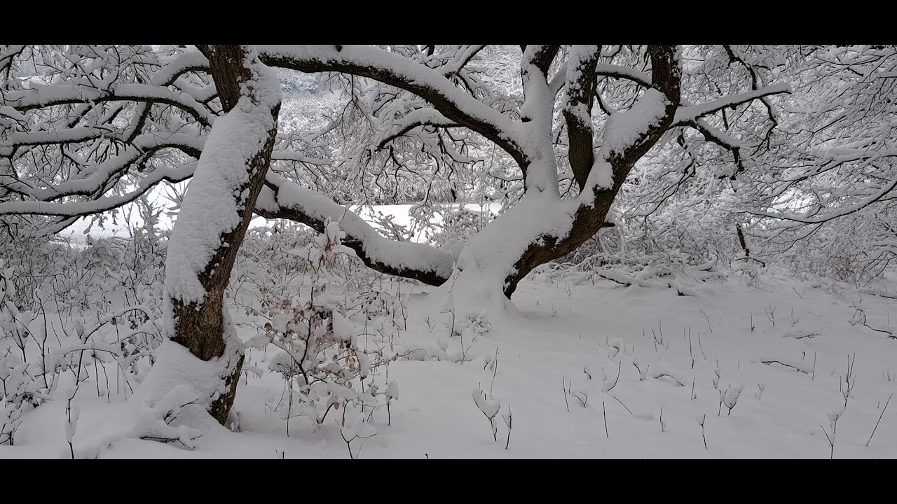 Viel Schnee 2026-02-20